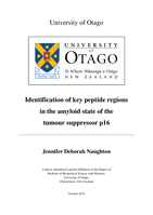 Identification of key peptide regions in the amyloid state of the tumour suppressor p16
