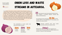 Onion Loss and Waste Streams in Aotearoa [Infographic]