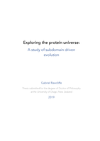 Exploring the protein universe: a study of subdomain driven evolution