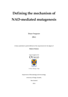 Defining the mechanism of NAD-mediated mutagenesis