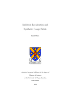Anderson Localisation and Synthetic Gauge Fields