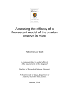 Assessing the efficacy of a fluorescent model of the ovarian reserve in mice