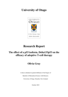 The effect of a p53 isoform, Delta133p53 on the efficacy of adoptive T-cell therapy