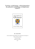Ecology or phylogeny: which determines the parasitic assemblages in Rajiformes (skates)?