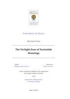 The Twilight Zone of Nucleotide Homology
