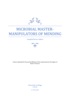 Microbial master-manipulators of mending