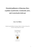 Potential pollinators of limestone flora Lepidium sisymbrioides, Gentianella calcis, and Carmichaelia hollowayi