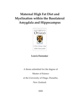 Maternal High Fat Diet and Myelination within the Basolateral Amygdala and Hippocampus