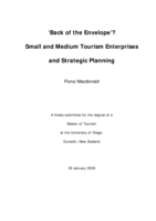 'Back of the envelope'? : small and medium tourism enterprises and strategic planning