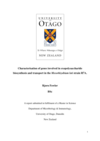 Characterisation of genes involved in exopolysaccharide biosynthesis and transport in the Mesorhizobium loti strain R7A