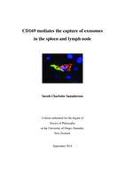 CD169 mediates the capture of exosomes in the spleen and lymph node
