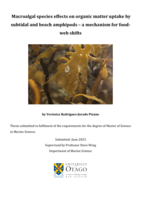 Macroalgal species effects on organic matter uptake by subtidal and beach amphipods – a mechanism for food-web shifts