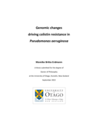 Genomic changes driving colistin resistance in Pseudomonas aeruginosa