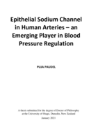Epithelial Sodium Channel in Human Arteries – an Emerging Player in Blood Pressure Regulation