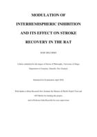Modulation of interhemispheric inhibition and its effect on stroke recovery in the rat