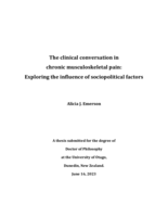 The clinical conversation in chronic musculoskeletal pain: Exploring the influence of sociopolitical factors