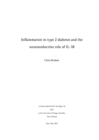 Inflammation in type 2 diabetes and the neuroendocrine role of IL-18