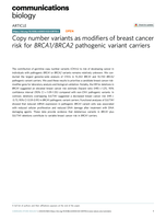 Copy number variants as modifiers of breast cancer risk for BRCA1/BRCA2 pathogenic variant carriers