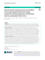 Chromosome-level genome assemblies of two parasitoid biocontrol wasps reveal the parthenogenesis mechanism and an associated novel virus