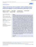 Adipose derived stem cell extracellular vesicles modulate primary human macrophages to an anti‐inflammatory phenotype in vitro