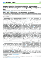 A newly identified flavoprotein disulfide reductase Har protects Streptococcus pneumoniae against hypothiocyanous acid