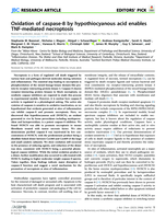 Oxidation of caspase-8 by hypothiocyanous acid enables TNF-mediated necroptosis