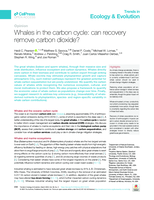 Whales in the carbon cycle: can recovery remove carbon dioxide?