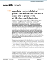 Ascorbate content of clinical glioma tissues is related to tumour grade and to global levels of 5-hydroxymethyl cytosine