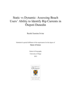 Static vs Dynamic: Assessing Beach Users’ Ability to Identify Rip Currents in Ōtepoti Dunedin