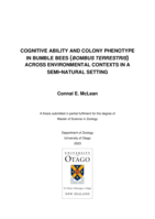 Cognitive ability and colony phenotype in bumble bees (Bombus terrestris) across environmental contexts in a semi-natural setting