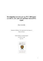 Investigating Synechocystis sp. PCC 6803 genes uvrABCD, ssb1, and ssb2 and their role in DNA repair