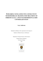 Exploring novel effective connectivity neurofeedback training for treatment of Fibromyalgia: A pilot randomised placebo controlled study