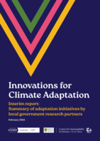 Innovations for Climate Adaptation. Interim Report: Summary of Adaptation Initiatives by Local Government Research Partners