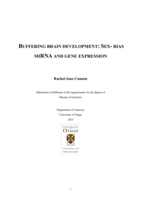 Buffering brain development: sex-bias miRNA and gene expression