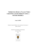 Improving Seneca Valley Virus targeted cancer therapy using a peptide prodrug