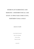 Māori Plant Subsistence and Medicine: a Microbotanical Case Study at Opoutama Cook's Cove, Northern Te-Ika-a-Maui