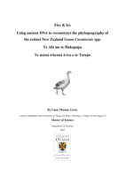Fire & Ice Using ancient DNA to reconstruct the phylogeography of the extinct New Zealand Goose Cnemiornis spp. Te Ahi me te Hukapapa Te matai whenua ā-ira o te Tarepo