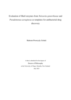 Evaluation of MurI enzymes from Neisseria gonorrhoeae and Pseudomonas aeruginosa as templates for antibacterial drug discovery
