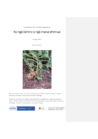 Ko ngā kōrero o ngā mana whenua: Interim research report, Innovations for Climate Adaptation
