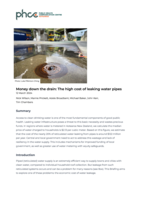 Money down the drain: The high cost of leaking water pipes