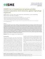 CRISPR-Cas in Pseudomonas aeruginosa provides transient population-level immunity against high phage exposures