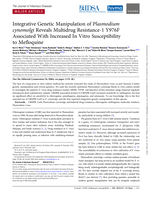 Integrative Genetic Manipulation of Plasmodium cynomolgi Reveals Multidrug Resistance-1 Y976F Associated With Increased In Vitro Susceptibility to Mefloquine