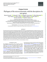 Phylogeny of the microcormorants, with the description of a new genus