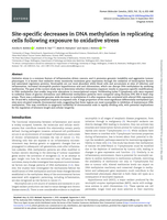 Site-specific decreases in DNA methylation in replicating cells following exposure to oxidative stress