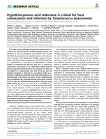 Hypothiocyanous acid reductase is critical for host colonization and infection by Streptococcus pneumoniae