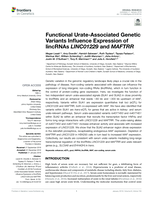 Functional Urate-Associated Genetic Variants Influence Expression of lincRNAs LINC01229 and MAFTRR