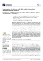 Interrogating the Role of miR-125b and Its 3′isomiRs in Protection against Hypoxia