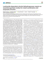 Lanthanide-dependent alcohol dehydrogenases require an essential aspartate residue for metal coordination and enzymatic function