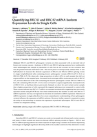 Quantifying BRCA1 and BRCA2 mRNA Isoform Expression Levels in Single Cells