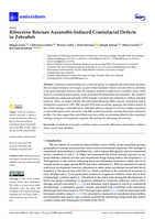 Riboceine Rescues Auranofin-Induced Craniofacial Defects in Zebrafish
